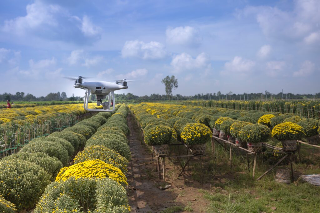 drones in agriculture